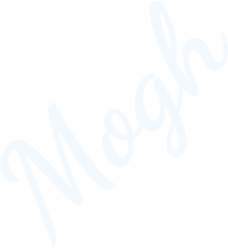 网站攻击软件工具